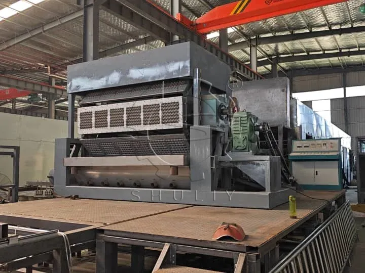 egg tray equipment
