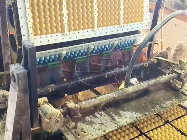 egg tray molding
