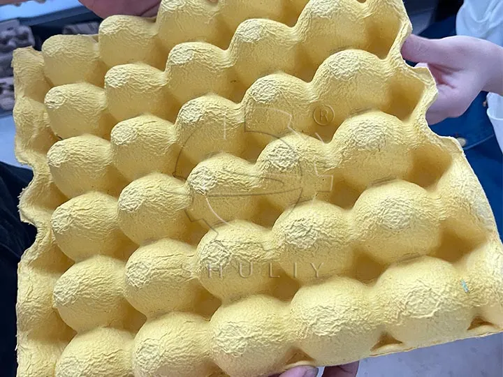 egg tray