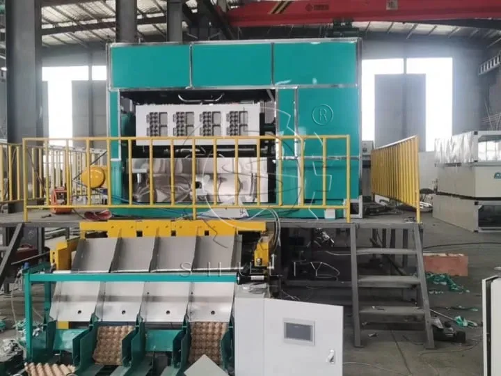 medium-sized egg tray machine
