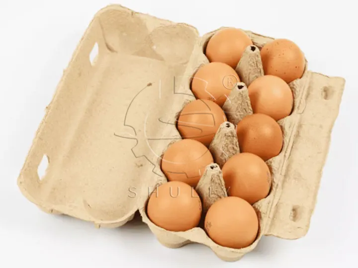 10pcs egg carton