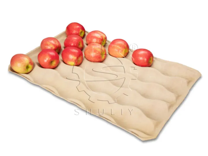 apple tray