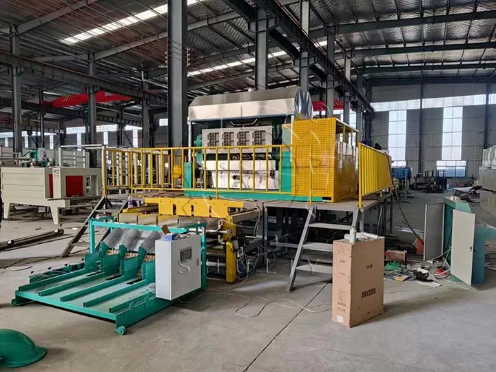 máquina de bandejas de huevo totalmente automática