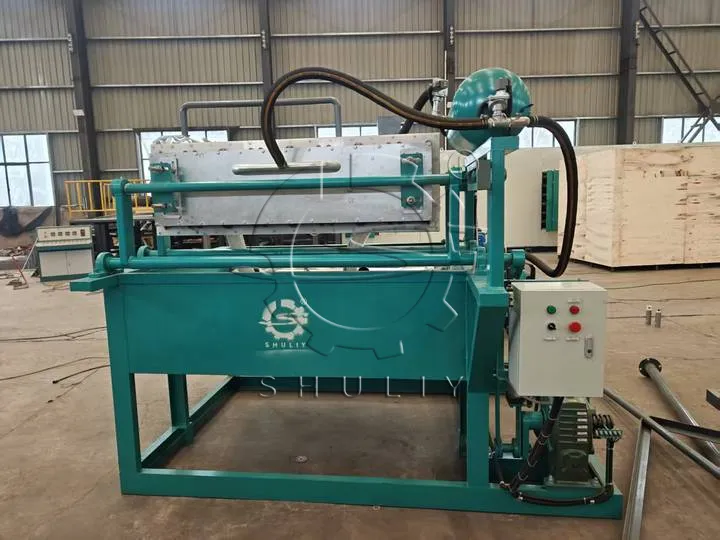 Egg Plate Making Machine Successfully Running in Jordan