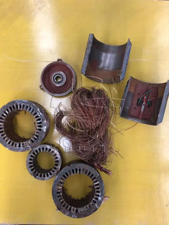 Disassembled Motor