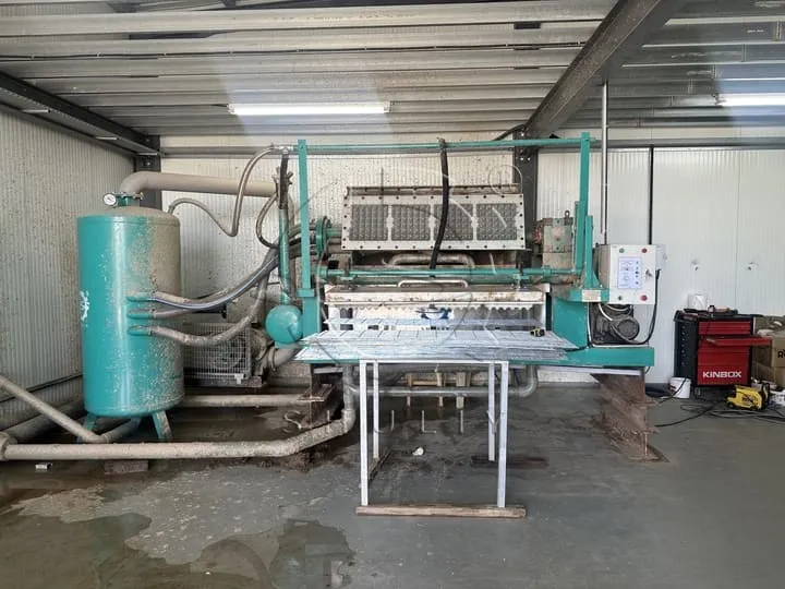 Egg Tray Manufacturing Machine Installed in Cyprus