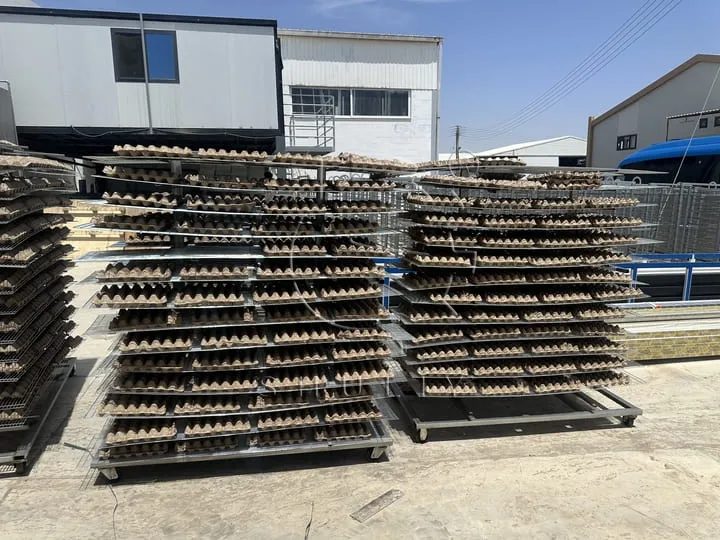 Finished Egg Trays